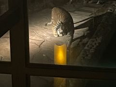 -南京汤山紫清湖生态旅游温泉度假区
