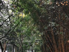 -成都市活水公园