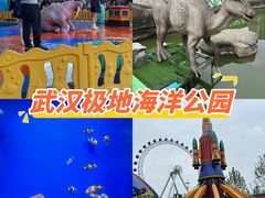 -海合安武汉极地海洋公园