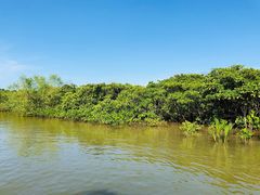 -东寨港红树林旅游区