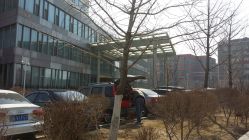 -沈阳市妇婴医院