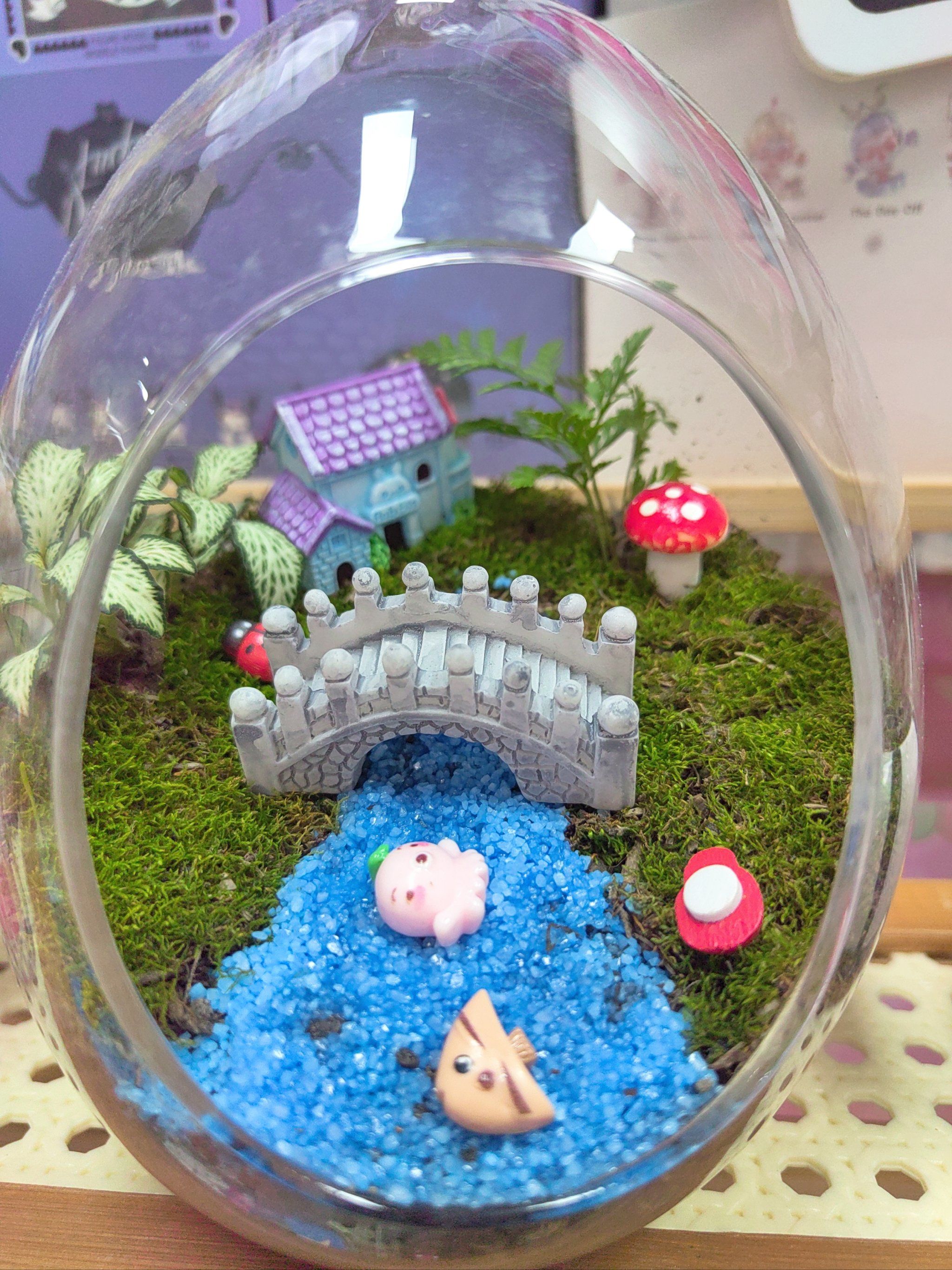 使用真植物真苔藓diy专属于你的苔藓微景观,满足你的创作的欲望!