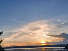 -宝安西湾红树林湿地公园