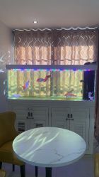 -安馨无忧月子中心(青秀店)