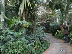 -国家植物园南园