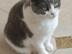 -Catmate·猫肥家润(金润铂宫店)