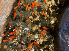 -嘉禾·悦享餐厅(八方汇店)