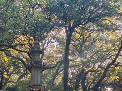 -普陀山风景名胜区-法雨禅寺
