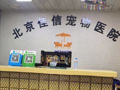 -北京佳信宠物医院