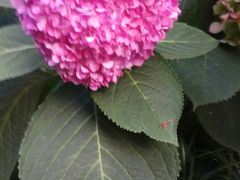 -玉林生活广场