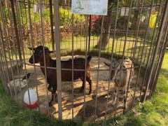 -西双版纳融创皇冠假日度假酒店