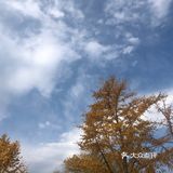 故都的秋