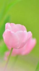 -新美荟医美·专注面部美学抗衰
