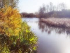 -昆山城市生态森林公园