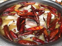沸腾鱼-扎与夏私房菜(西藏自治区拉萨市丹杰林巷店)