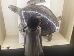 -中国湿地博物馆