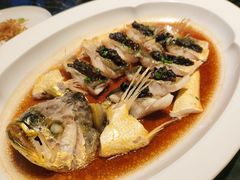 15年老萝卜头蒸东海钓带-遇外滩(BFC外滩金融中心店)