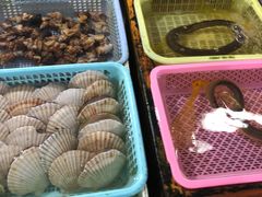 -大湾区中央湿地公园-十九涌