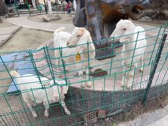 -洪湖家庭农场·团建·露营·会议