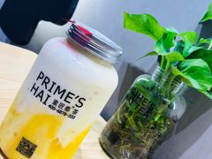 -素匠泰茶(三里屯SOHO工体奶茶店)