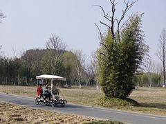 -良渚古城遗址公园