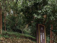 -杭州半山国家森林公园