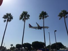 -In-N-Out Burger(LAX)