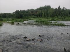 -淇河国家湿地公园