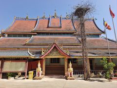 -西双版纳勐泐文化旅游区