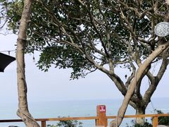 -美人鱼悬崖海景餐厅(鹿嘴山庄店)