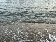 -秦皇岛野生动物园