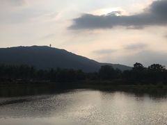 -亚龙湾国际玫瑰谷