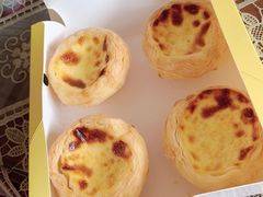 -格瑞思动物奶油生日蛋糕(园区永旺店)