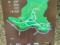 -上海佘山国家森林公园天马山园