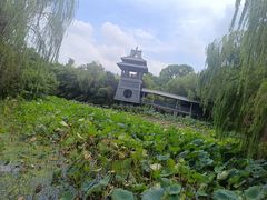 -金鸡湖桃花岛