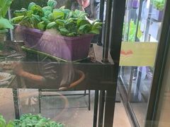 -番食园鲜食火锅(高新店)