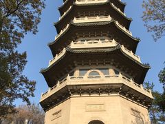-灵谷景区