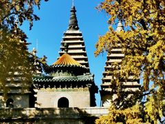 -北京石刻艺术博物馆(五塔寺)