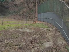 -南京珍珠泉风景区