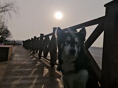 -丁香湖公园