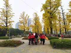 -百林公园-两江幸福广场