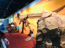 -北京科学中心儿童乐园