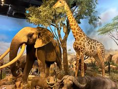 -陕西自然博物馆