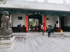 -关林