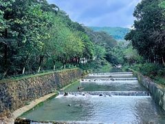 -广州白江湖森林公园