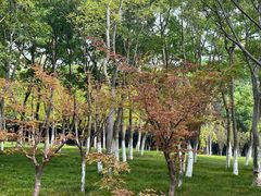 -盐官日光域房车营地·有盐餐厅