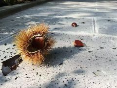 -丹东市五龙山风景区