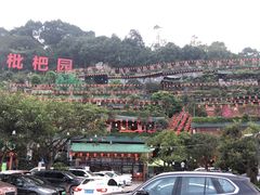 -枇杷园食为鲜火锅(南山店)