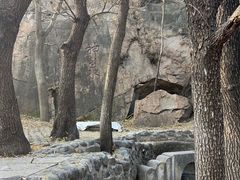 -北京凤凰岭