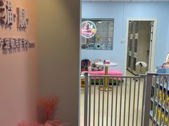 -喵宠乐园·撸猫互动·猫舍